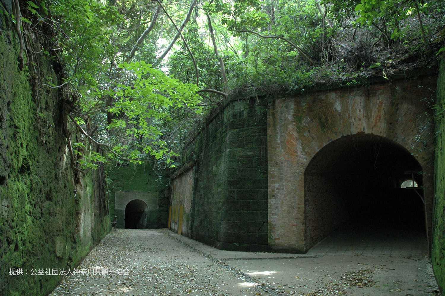 三浦半島の四季を楽しむ 周辺観光も豊富