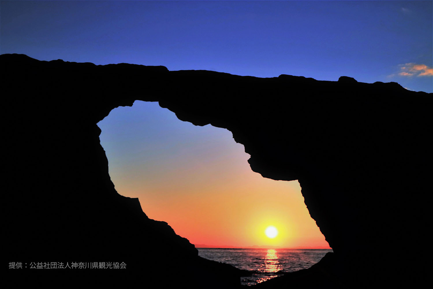 三浦半島の四季を楽しむ 周辺観光も豊富